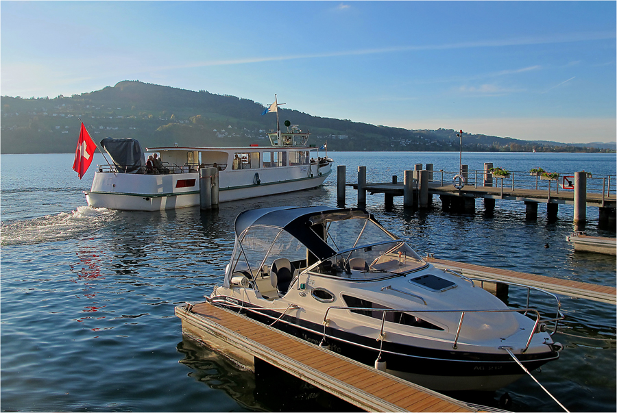 am Hallwilersee