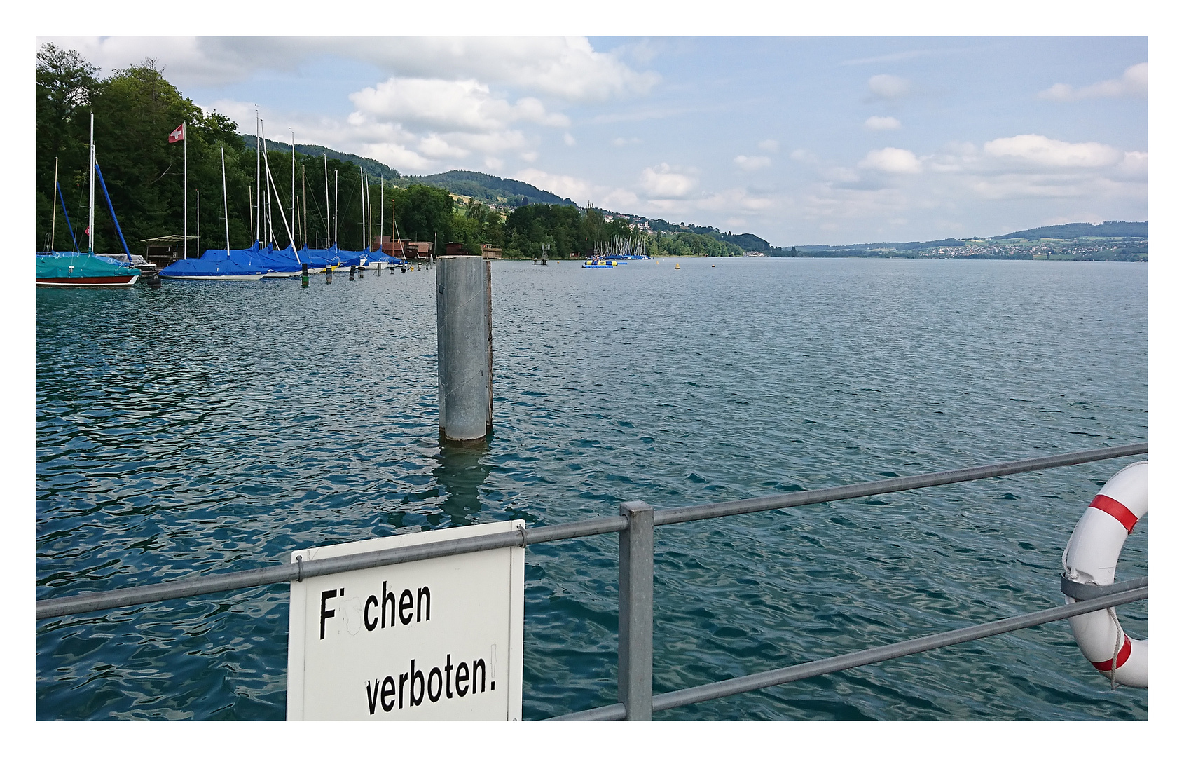 Am Hallwilersee III