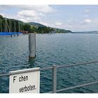 Am Hallwilersee III