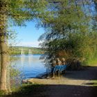 Am Hallwilersee Kt.AG Schweiz