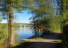 Am Hallwilersee Kt.AG Schweiz