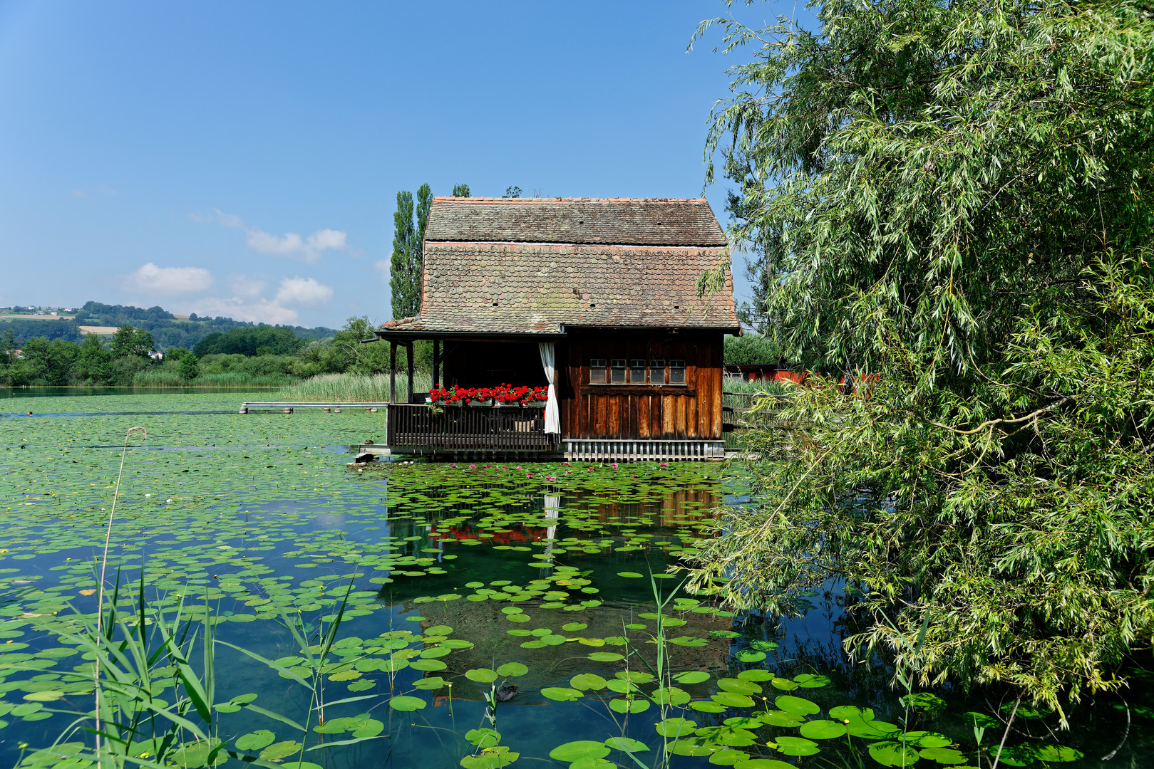 Am Hallwylersee