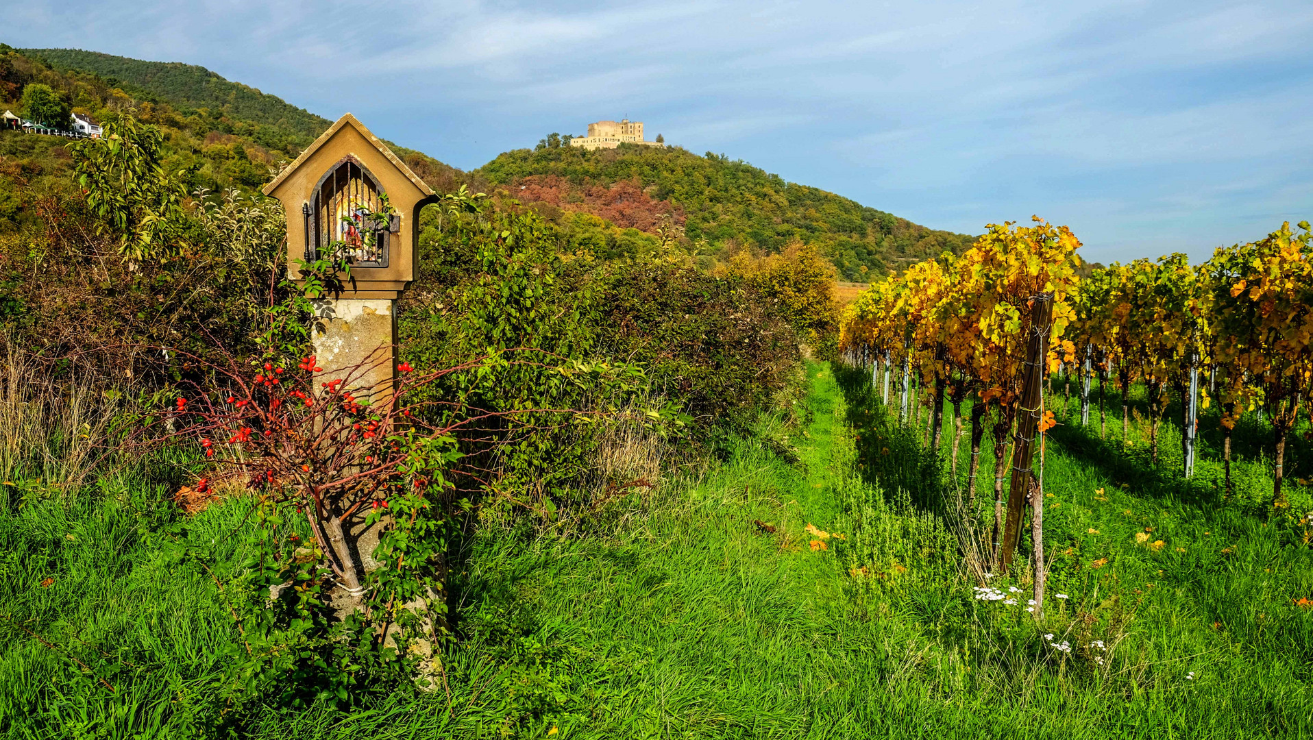 Am Hambacher Schloss