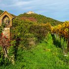 Am Hambacher Schloss