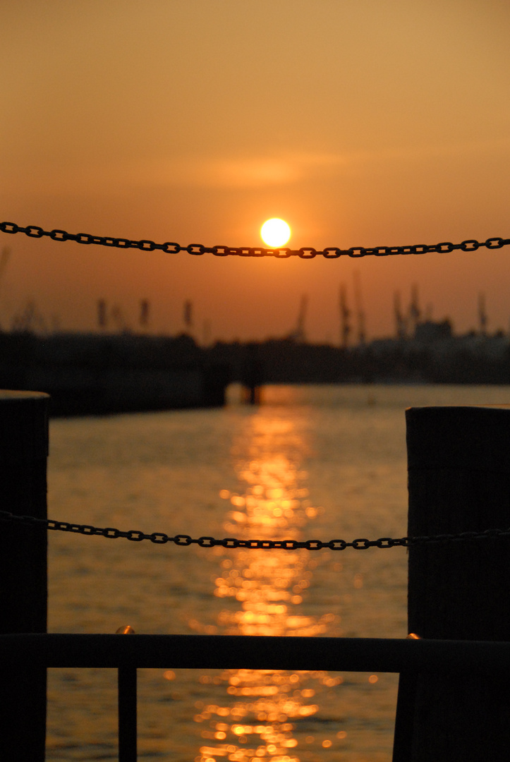 Am Hamburger Hafen-Blick auf König der Löwen