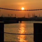 Am Hamburger Hafen-Blick auf König der Löwen