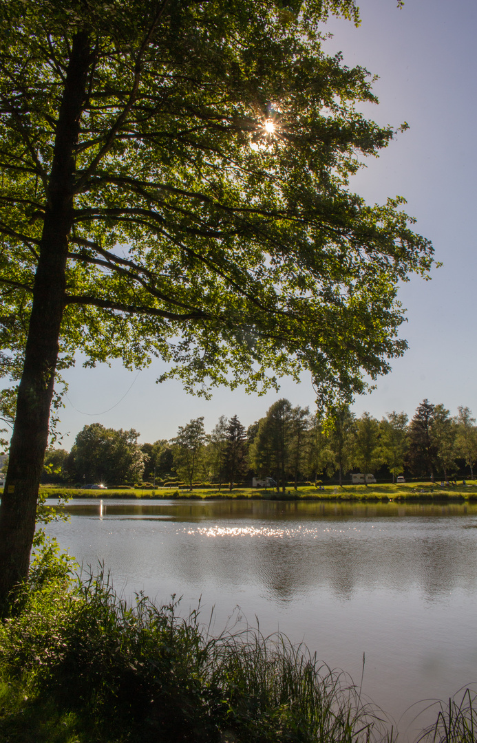 Am Hammerweiher 