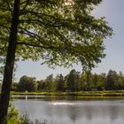 Am Hammerweiher 