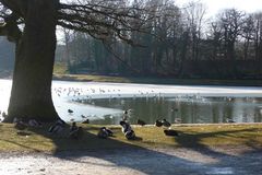 Am Hangeweiher - Januar 2009