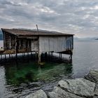 Am Hardangerfjord