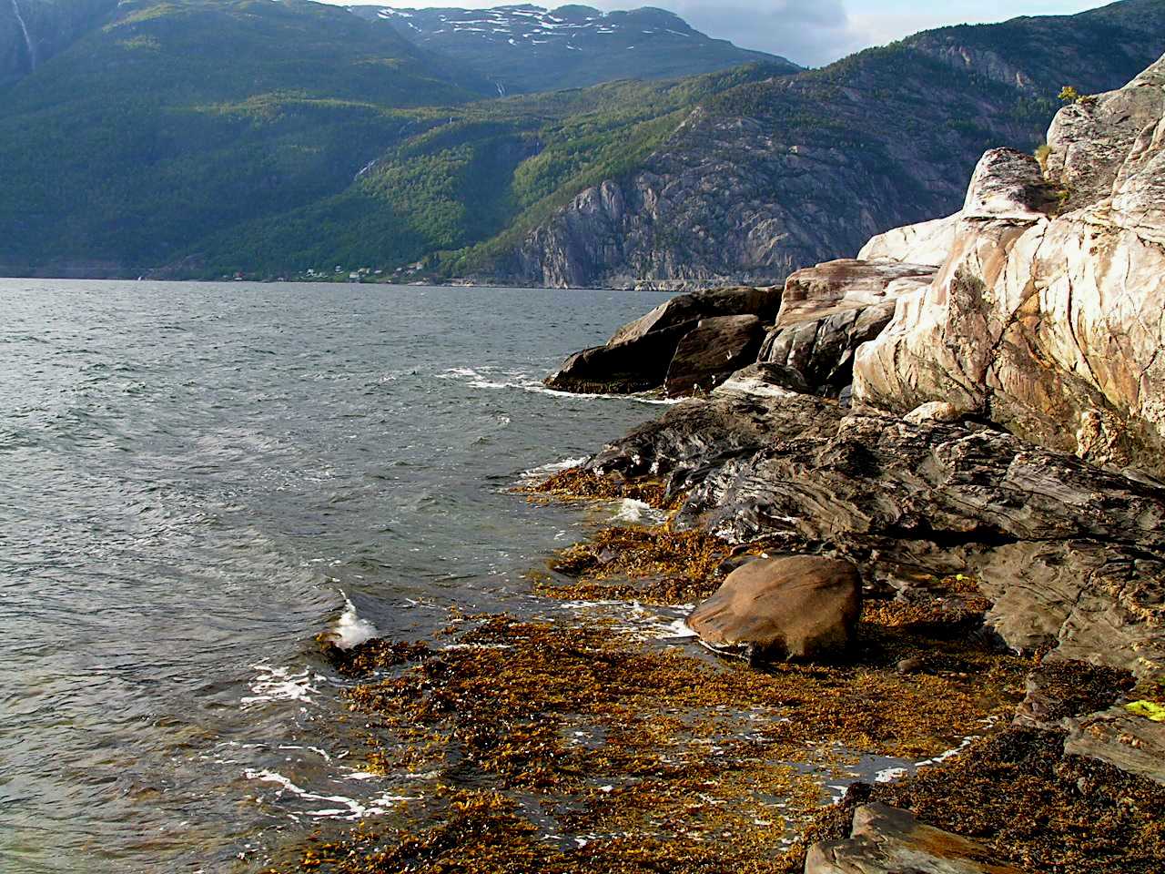 Am Hardangerfjord