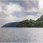 ... am Hardangerfjord V ...