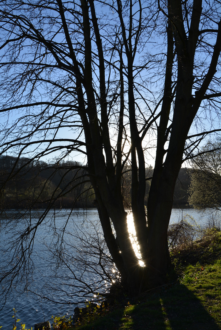 Am Harkortsee...