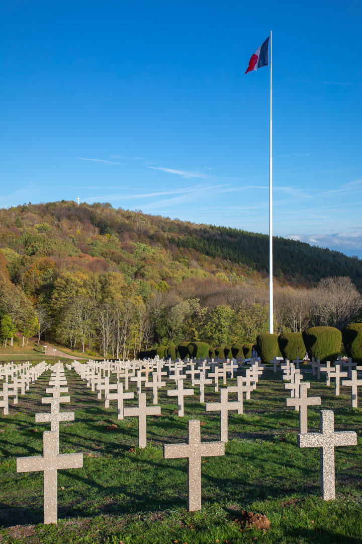 Am Harmannswillerkopf