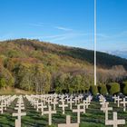 Am Harmannswillerkopf