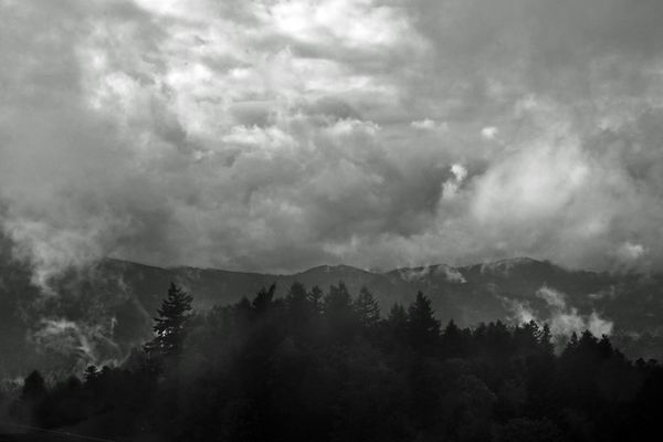 Am Hartmannswillerkopf (957m) an der Route des Crêtes, Elsass