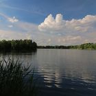 Am Hasselkampsee