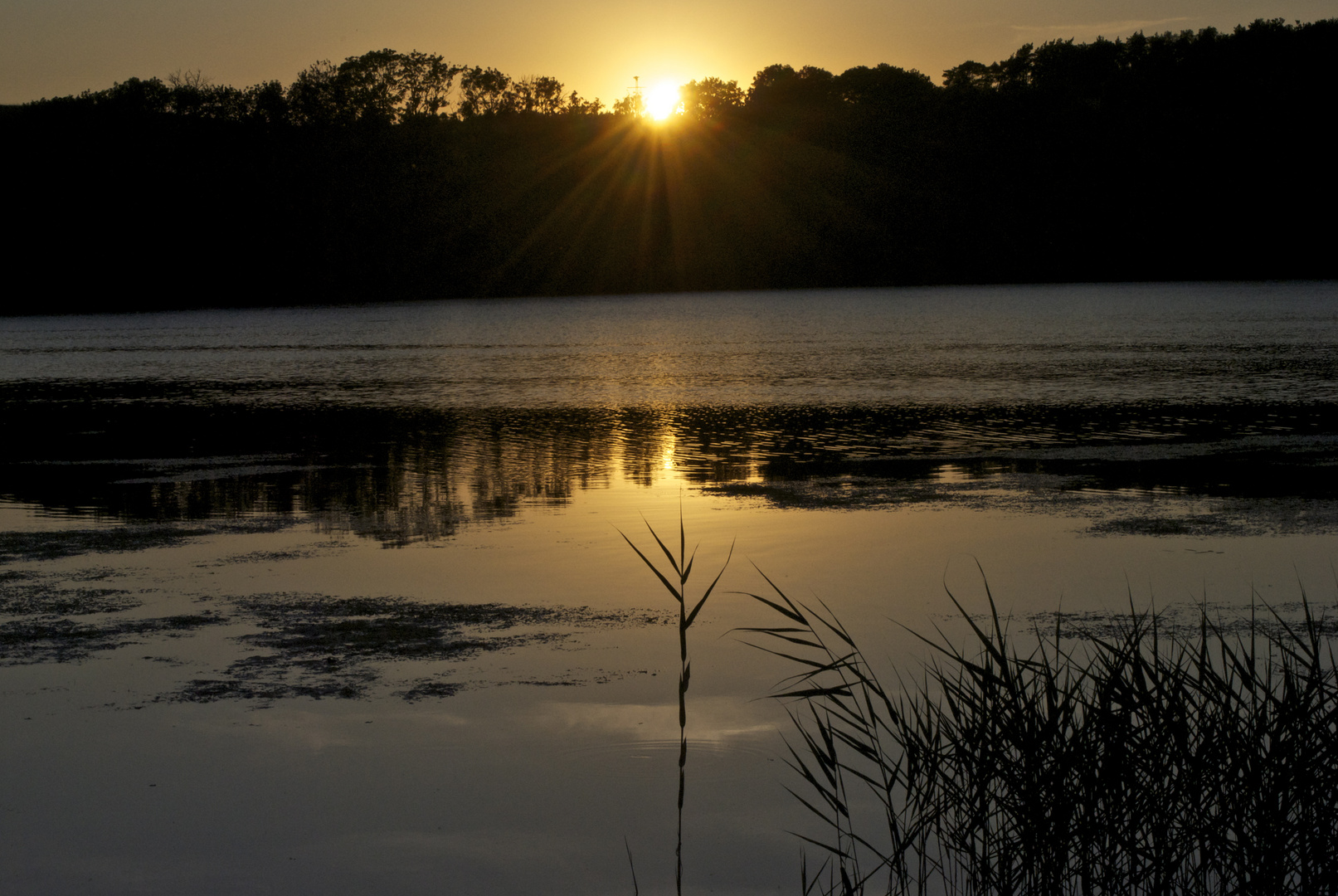 am Haussee bei Schorssow