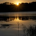 am Haussee bei Schorssow