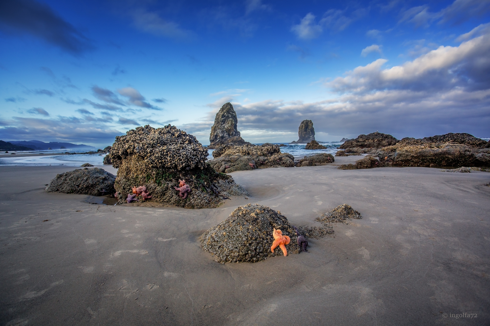 "am Haystack Rock"