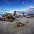 "am Haystack Rock"