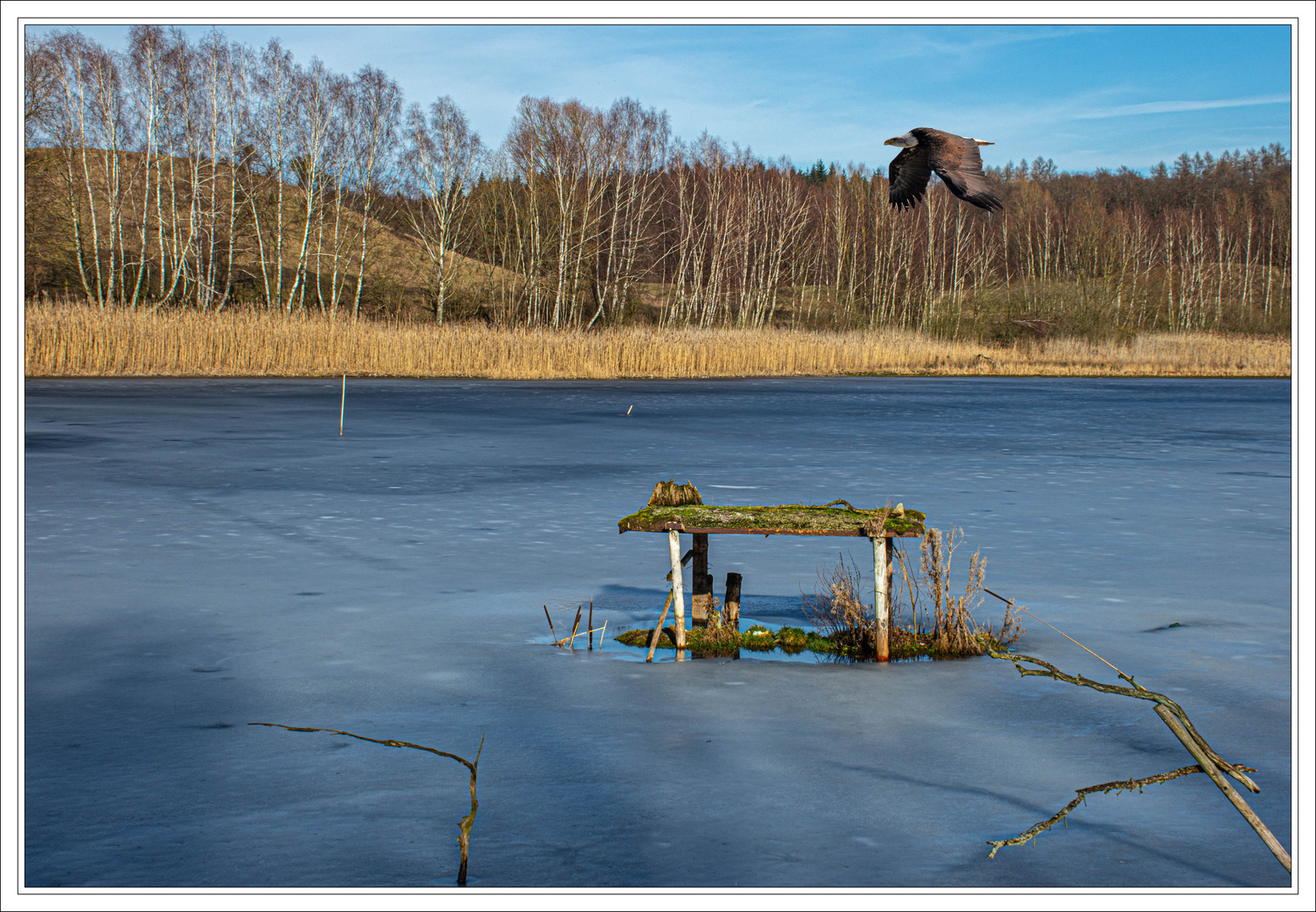 Am Hechtsee