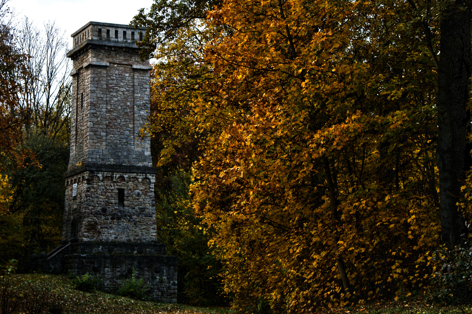 Am Heeseberg im Herbst