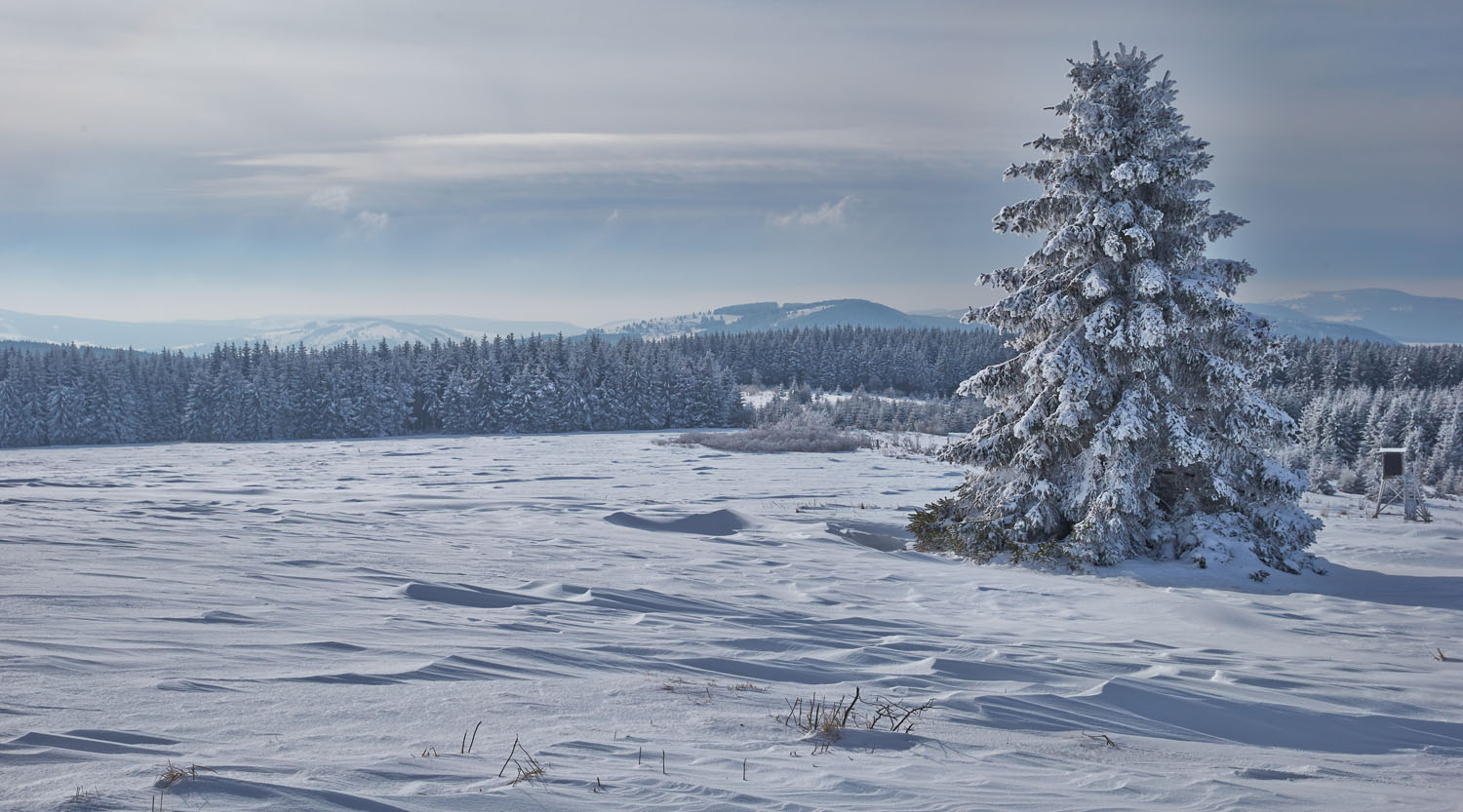 Am Heidelstein in der Rhön