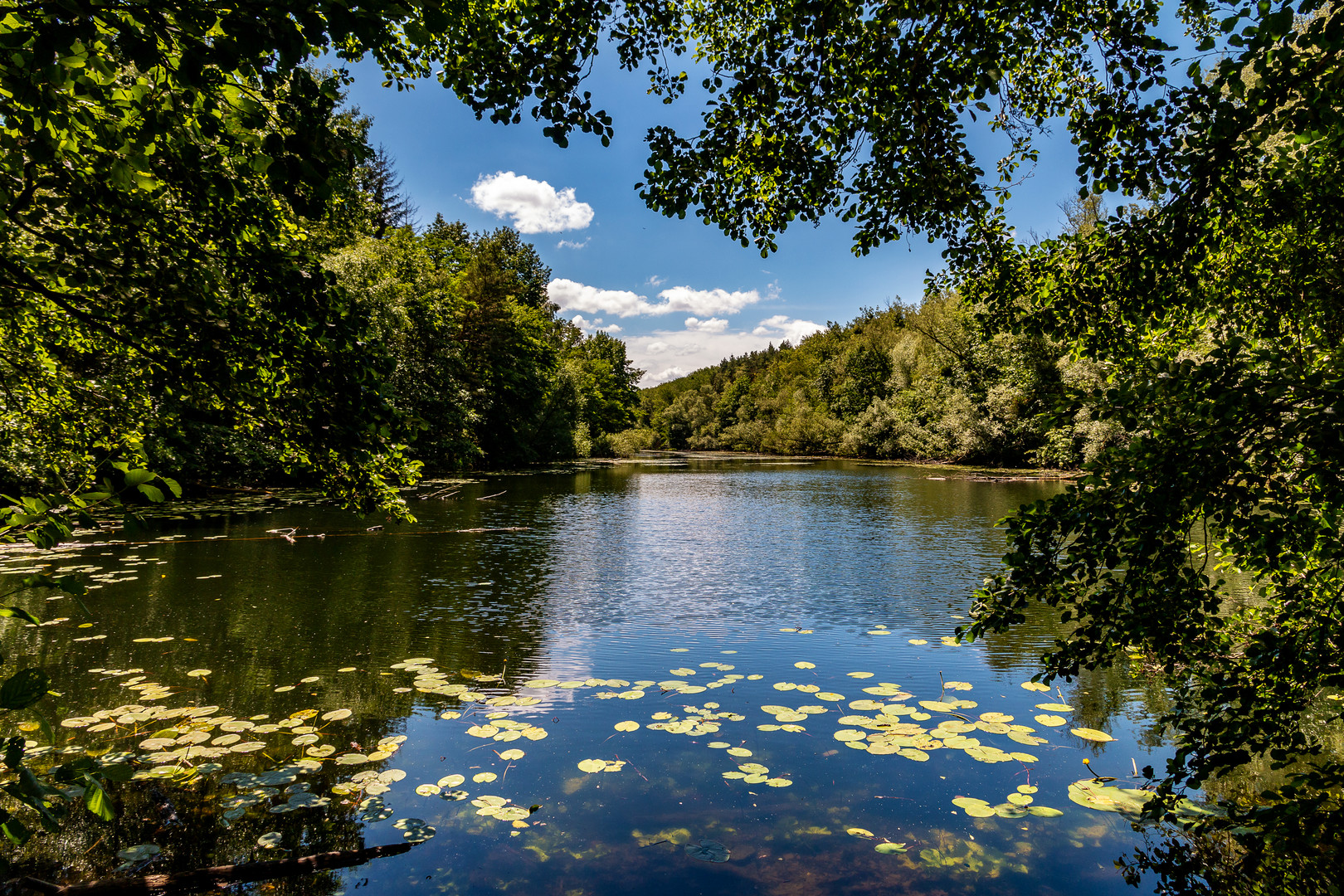 Am Heider Bergsee bei Brühl