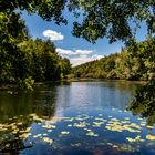 Am Heider Bergsee bei Brühl