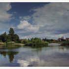 Am Heidesee