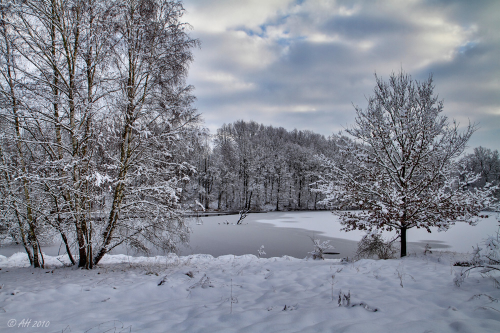 Am Heidesee