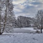 Am Heidesee