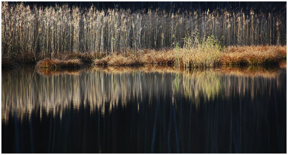 am Heideteich