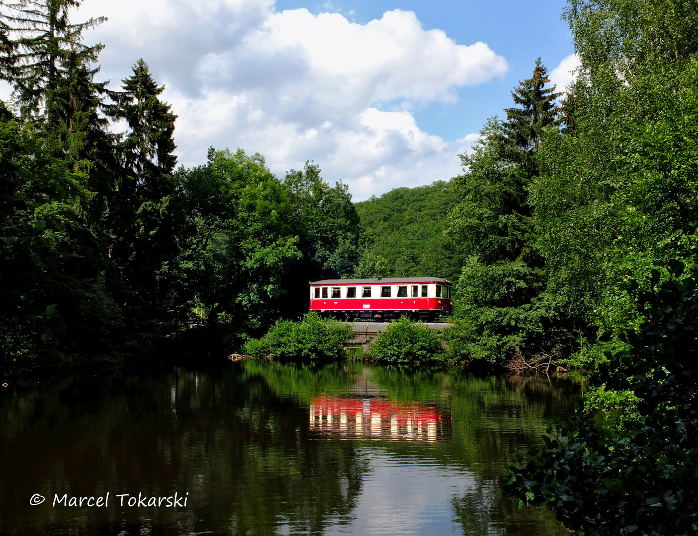 Am Heiligen Teich ist man nie allein, denn ...