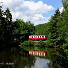 Am Heiligen Teich ist man nie allein, denn ...