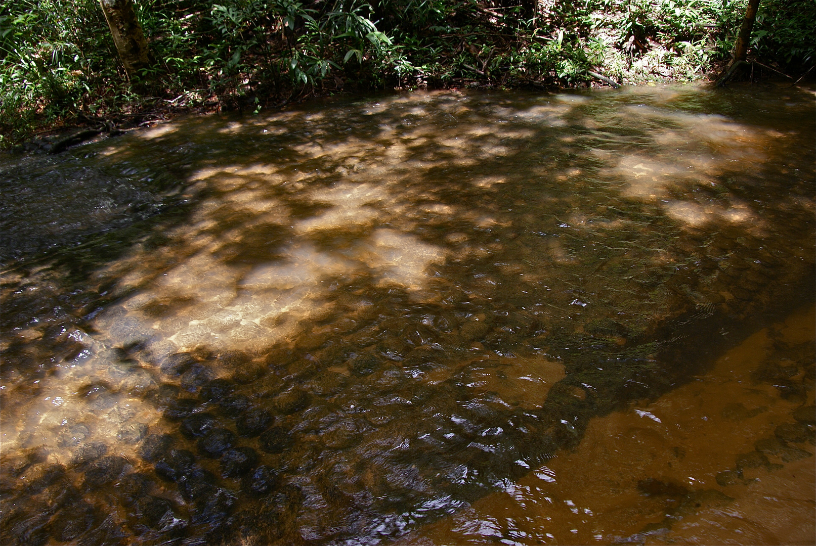 am heiligen wasser V, cambodia 2010