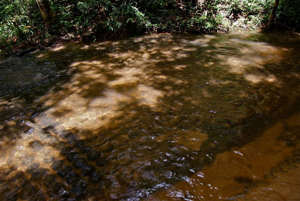 am heiligen wasser V, cambodia 2010