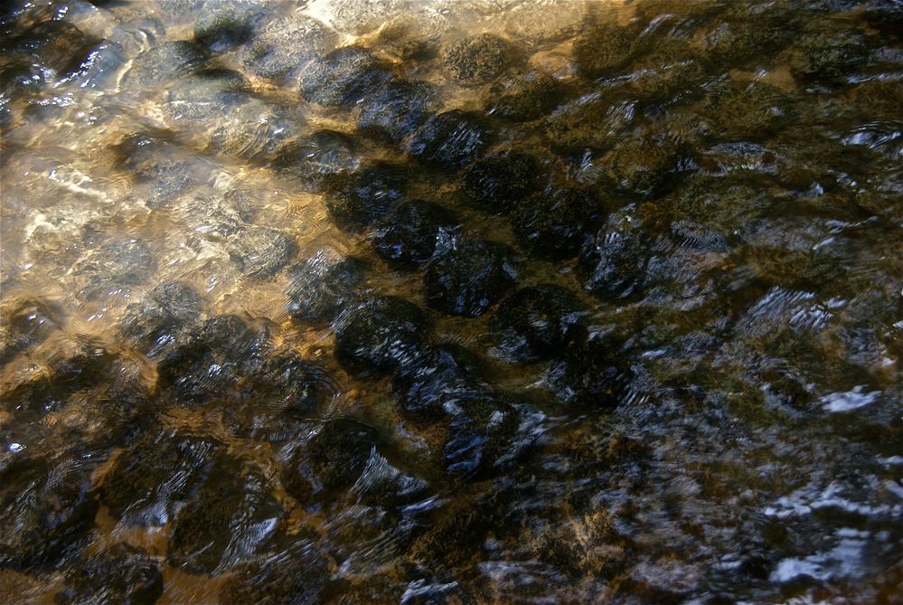 am heiligen wasser VI, cambodia 2010