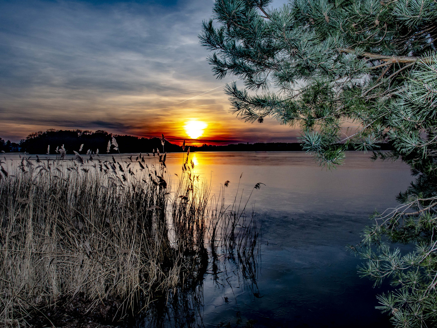 Am Heimatsee - At the home lake