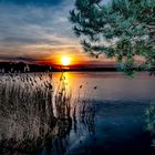 Am Heimatsee - At the home lake