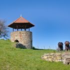 Am Heimersheimer Weinbergsturm