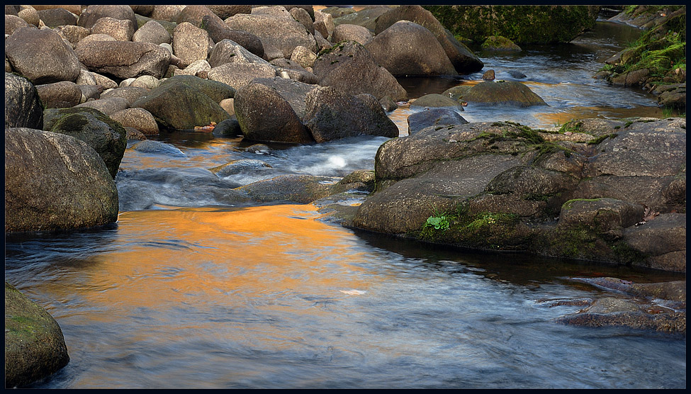 am heimischen fluss 1