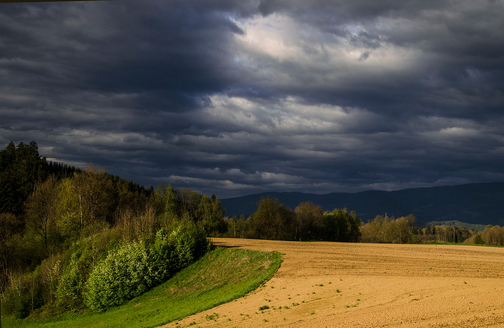 Am Heimweg........