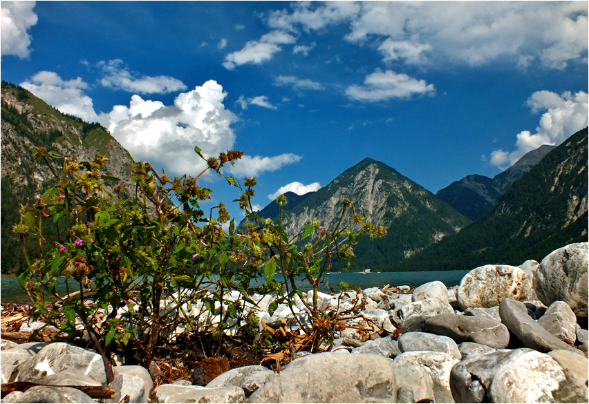 Am Heiterwanger See I