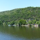 Am Hengsteysee - Juni 2019