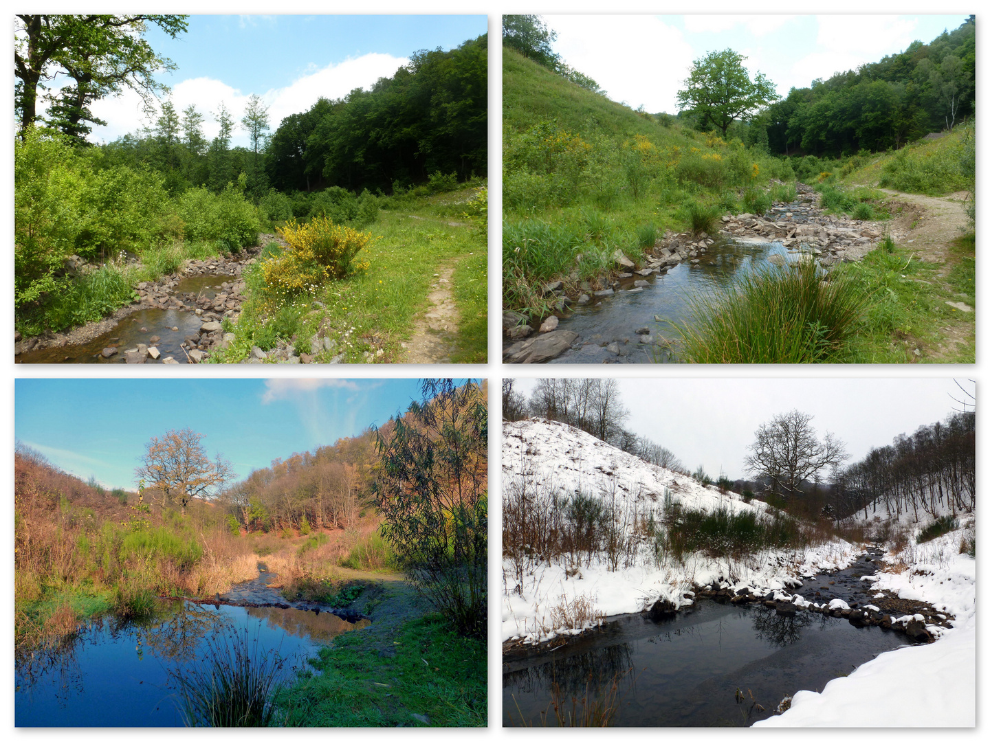 Am Herbringhauser Bach - Wuppertal-Beyenburg