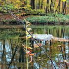 Am herbstlichen Fluss