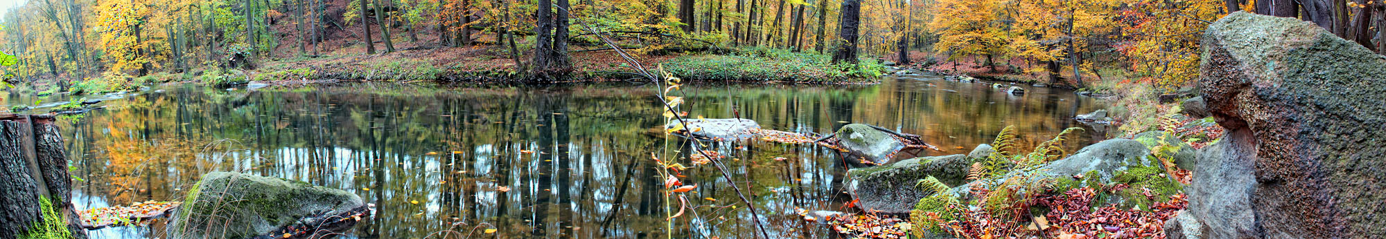 Am herbstlichen Fluss