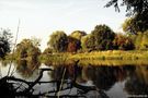 Am herbstlichen schönen Mulde-Ufer im Umland von Dessau-Rosslau von LarsWeber 